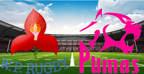 Western Province vs Pumas 1 September 2024 Rugby Full Match Replay Currie Cup